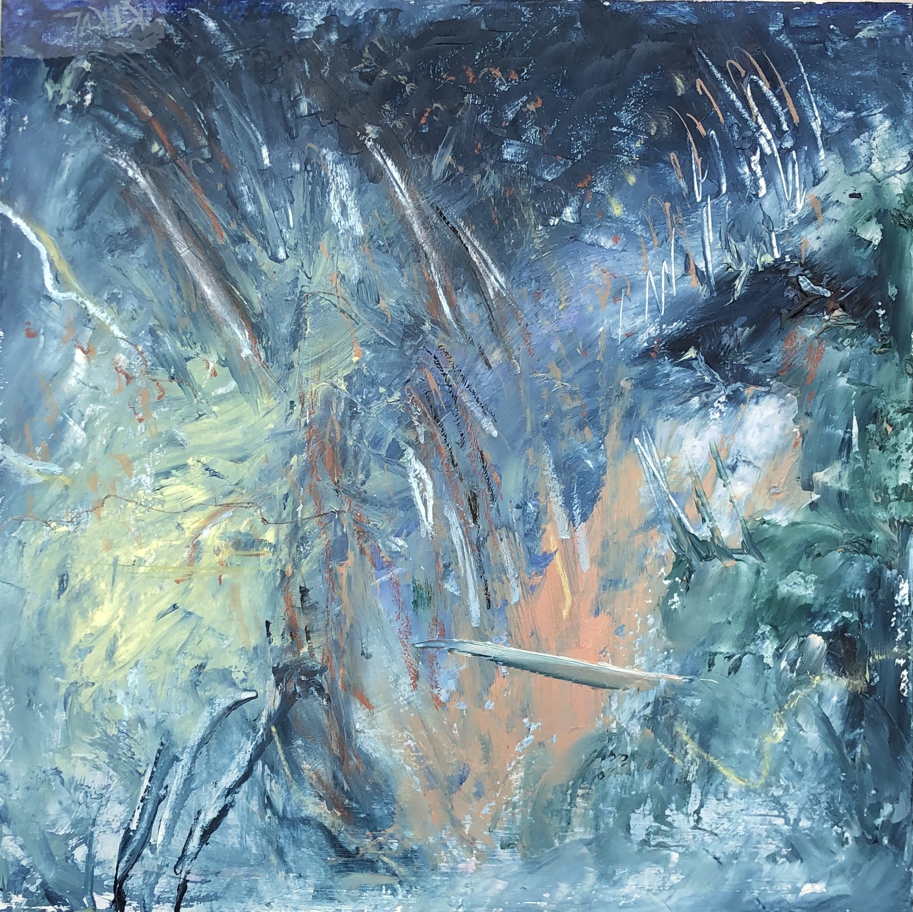 Click here to view Contra Tweet by Kathleen Van Lieu