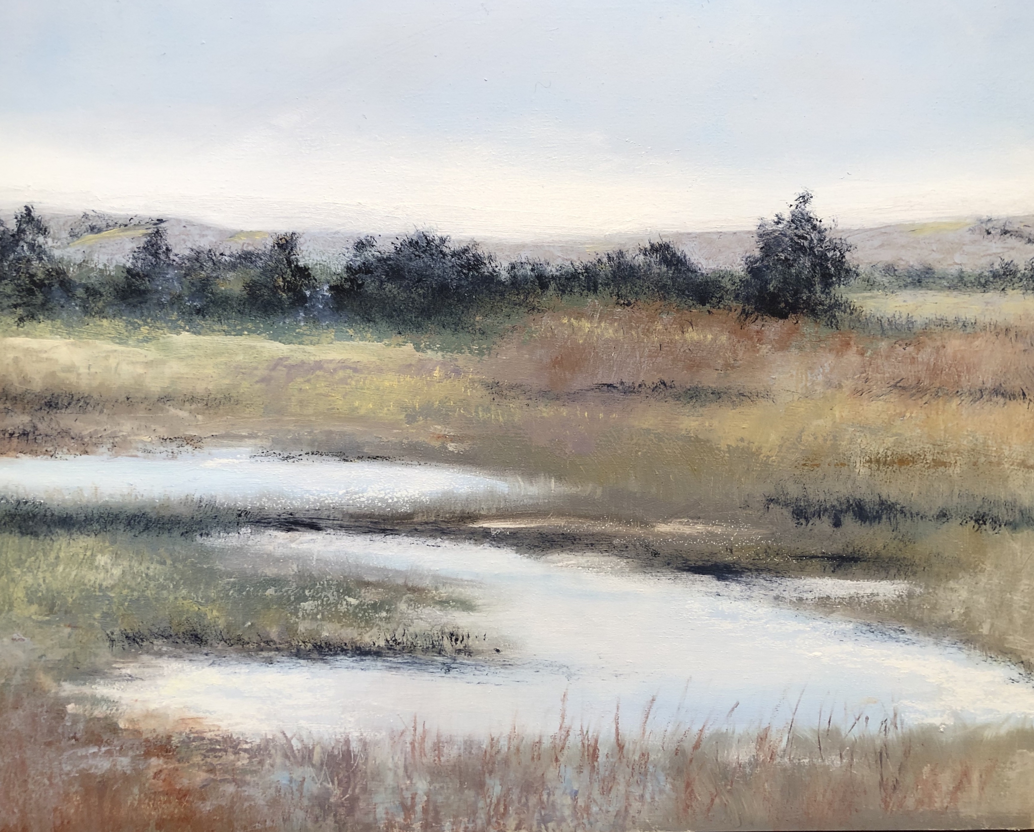 Click here to view Niobrara, Iced by Kathleen Van Lieu