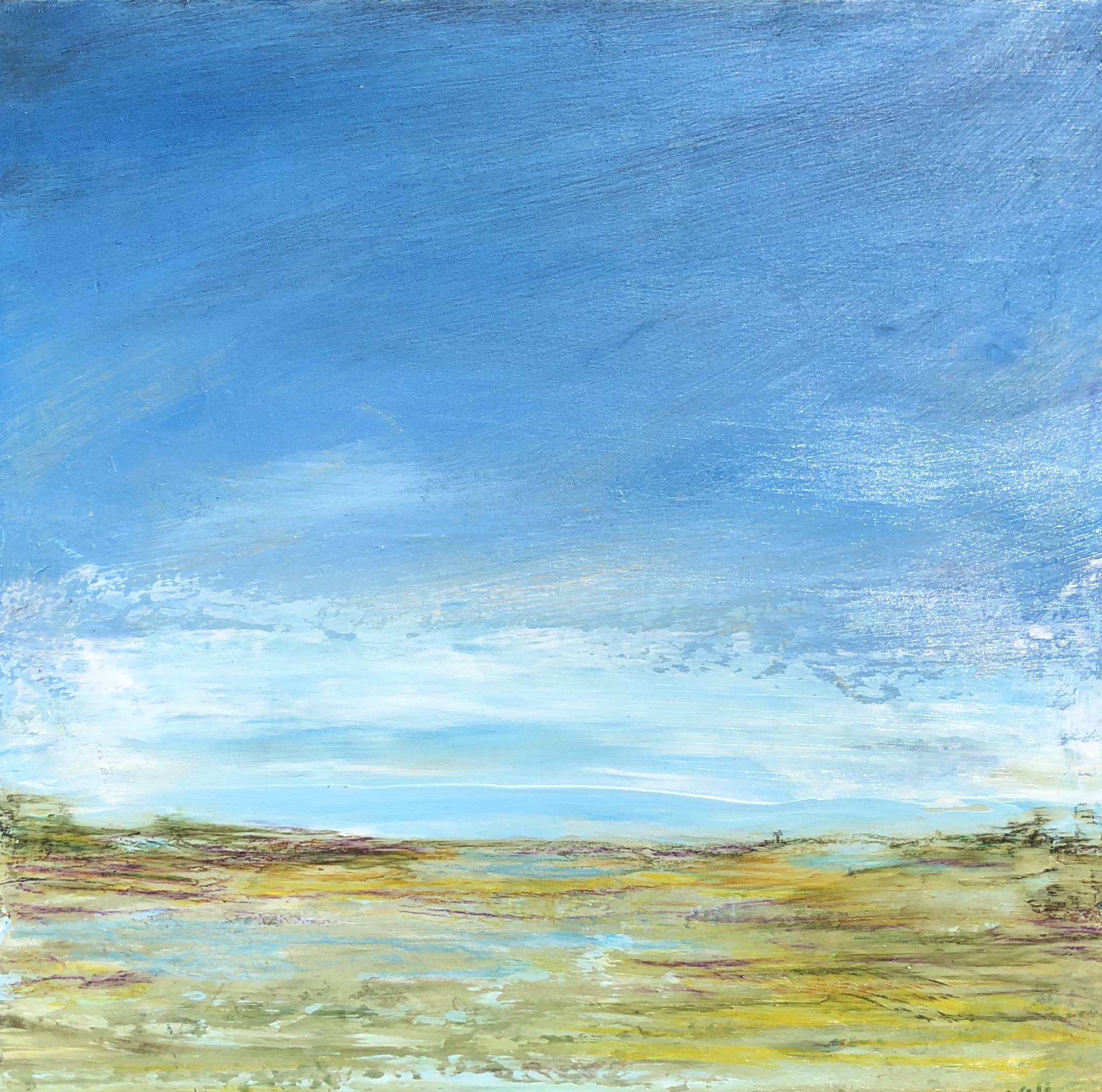 Click here to view Marshland by Kathleen Van Lieu